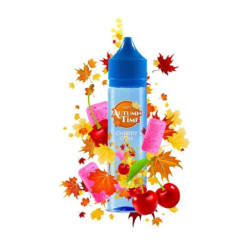 Longfill VAPY Autumn Time 10/60ml - Cherry Gum