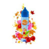 Longfill VAPY Autumn Time 10/60ml - Cherry Gum